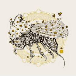 Union Of Sleep : Pyramido - Union of Sleep